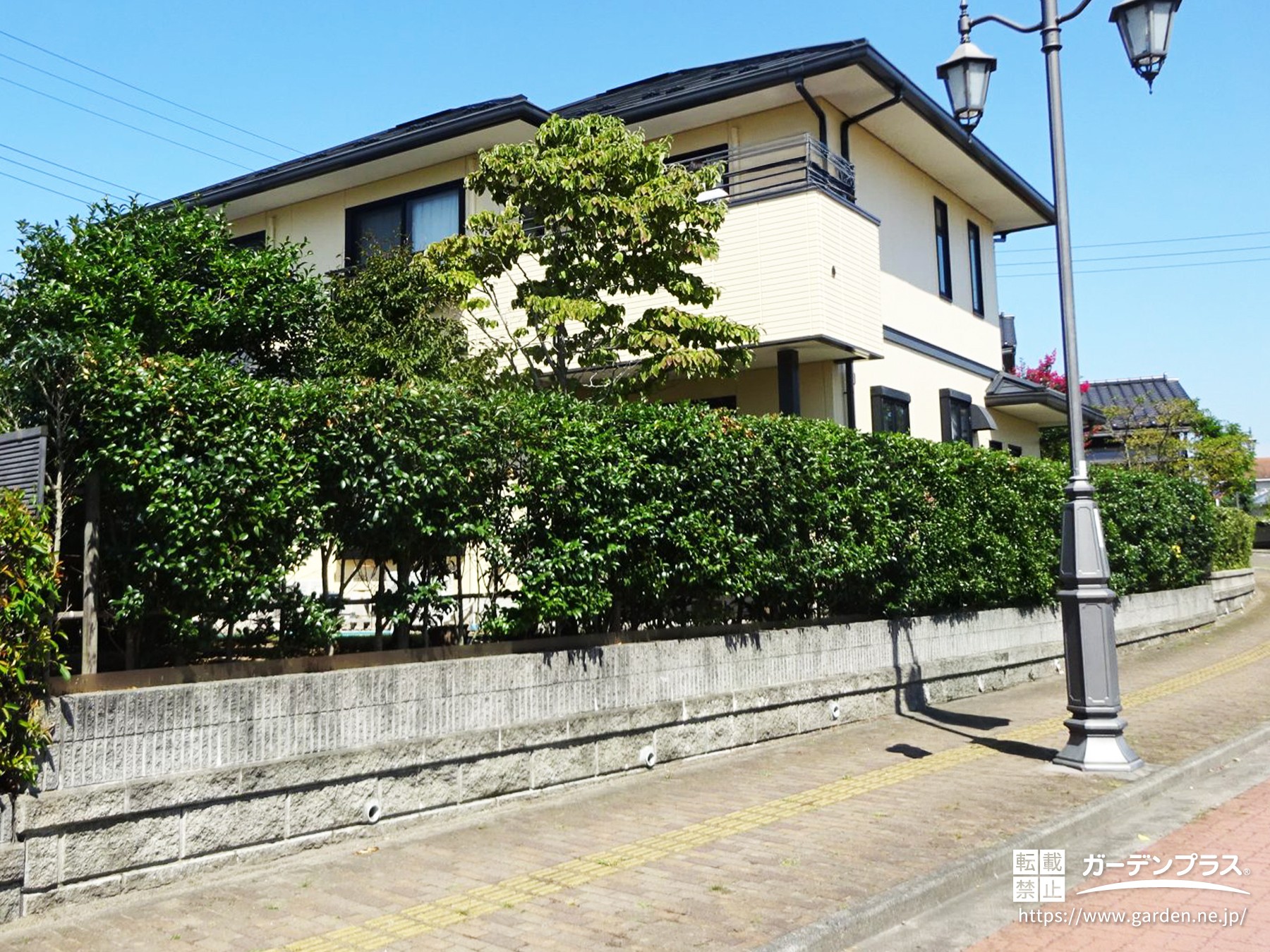 生垣の管理が大変だった庭