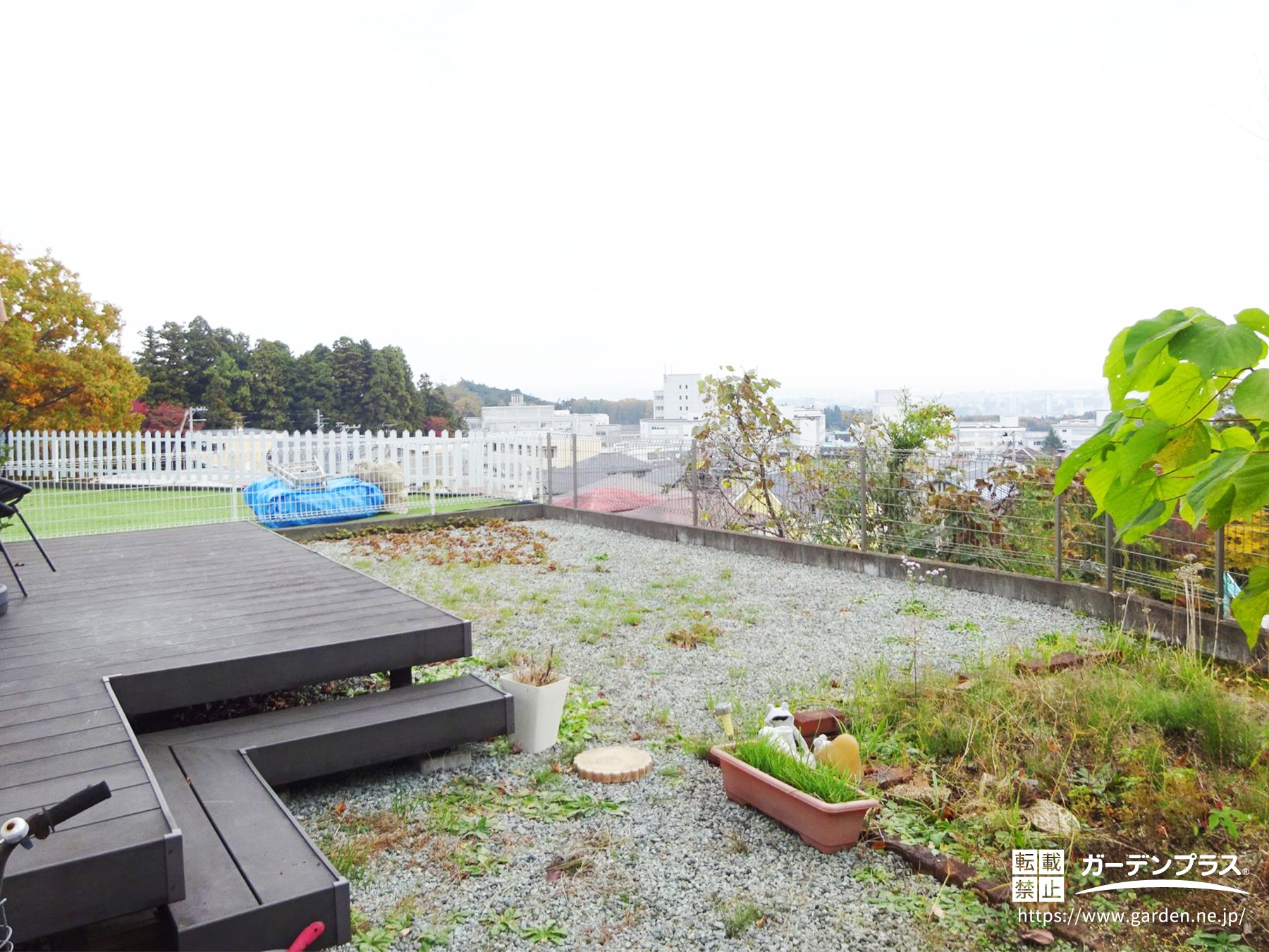 砂利の間から雑草が生えてきていた庭