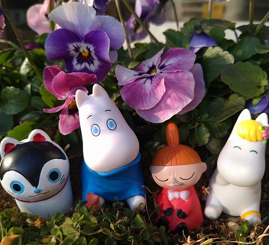 1月お庭の無料相談会のお知らせです♪