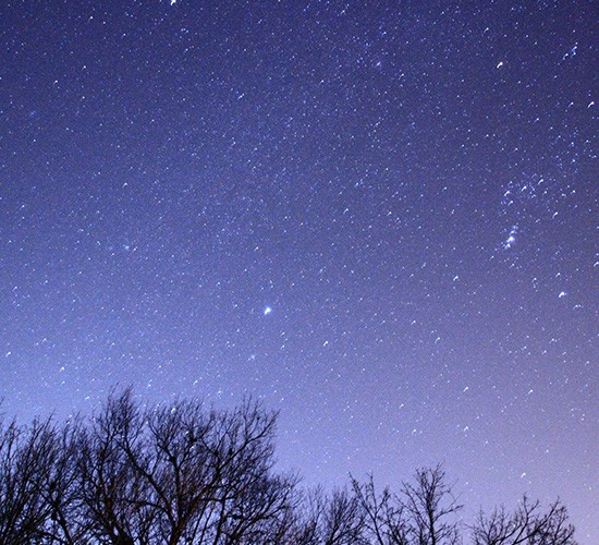 冬もお庭時間を楽しみたいですよね！お気に入りのお庭で冬キャンプを堪能しましょう！