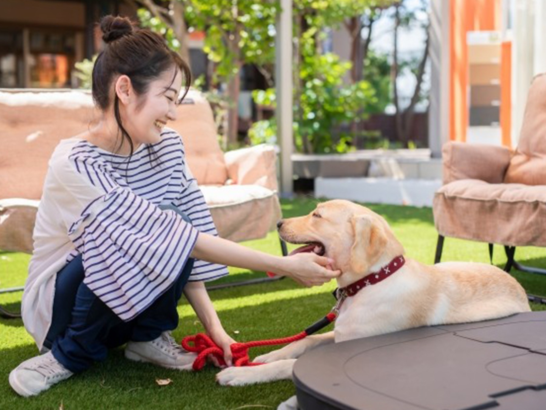 お庭で休憩中のワンちゃん