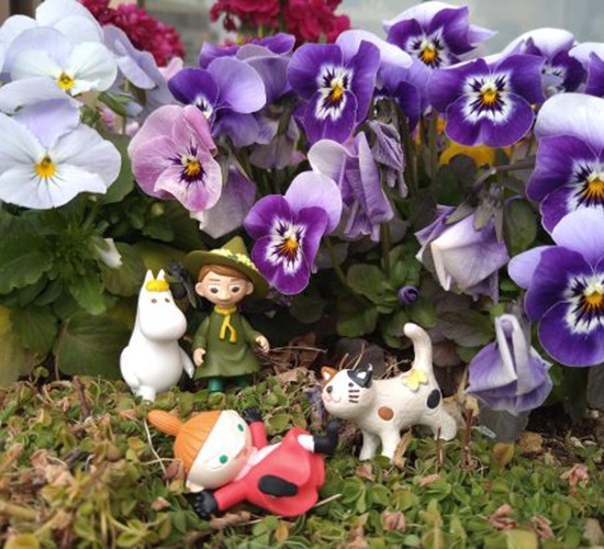 2月お庭の無料相談会のお知らせです♪