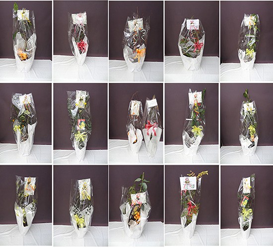 2026年2月発送分のプラントプランについてご報告します!