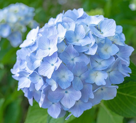 外構工事には最適な季節があります!【梅雨前の今】初めておくべき理由をプロが解説