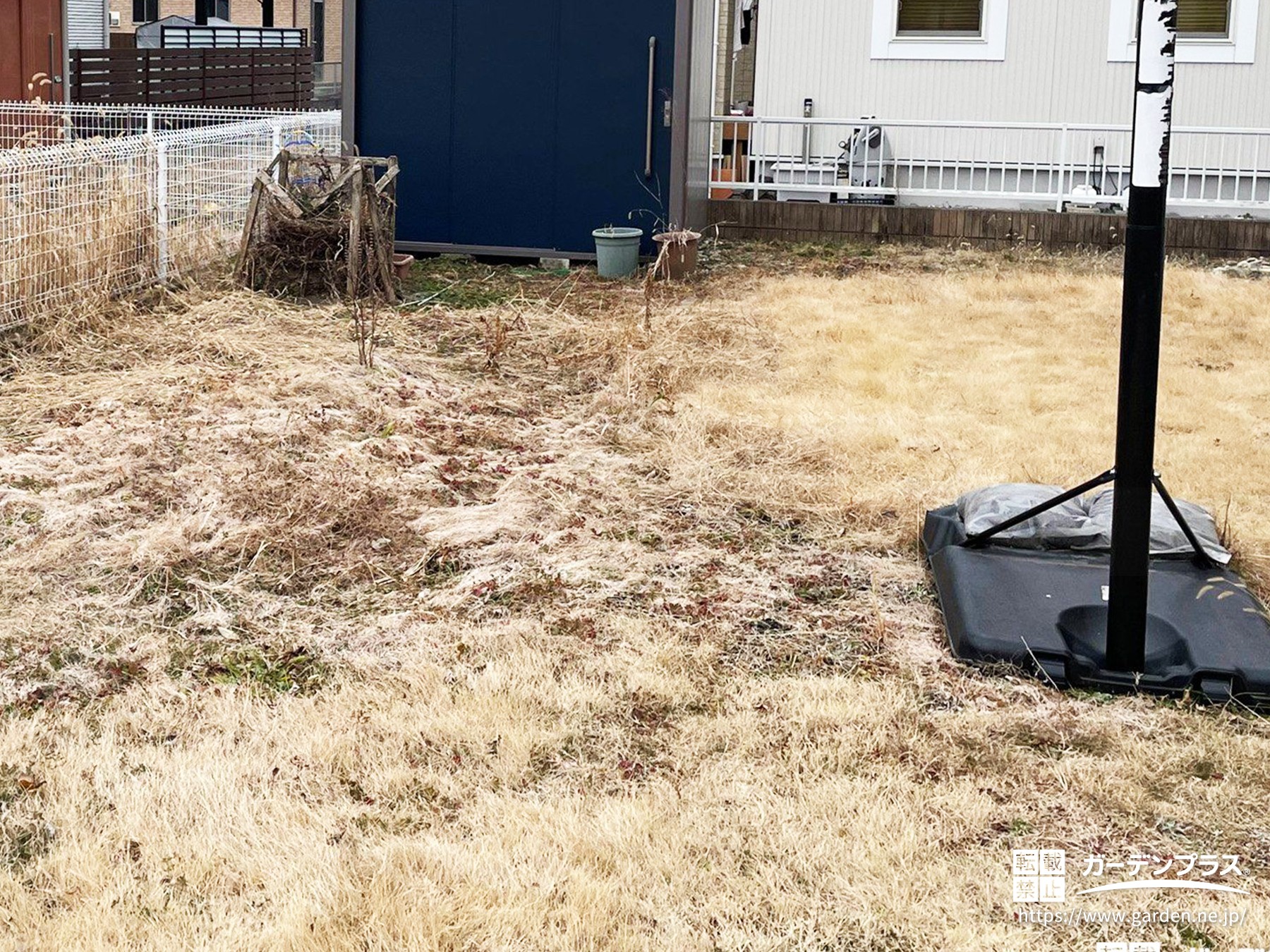 雑草や芝が枯れている冬のお庭