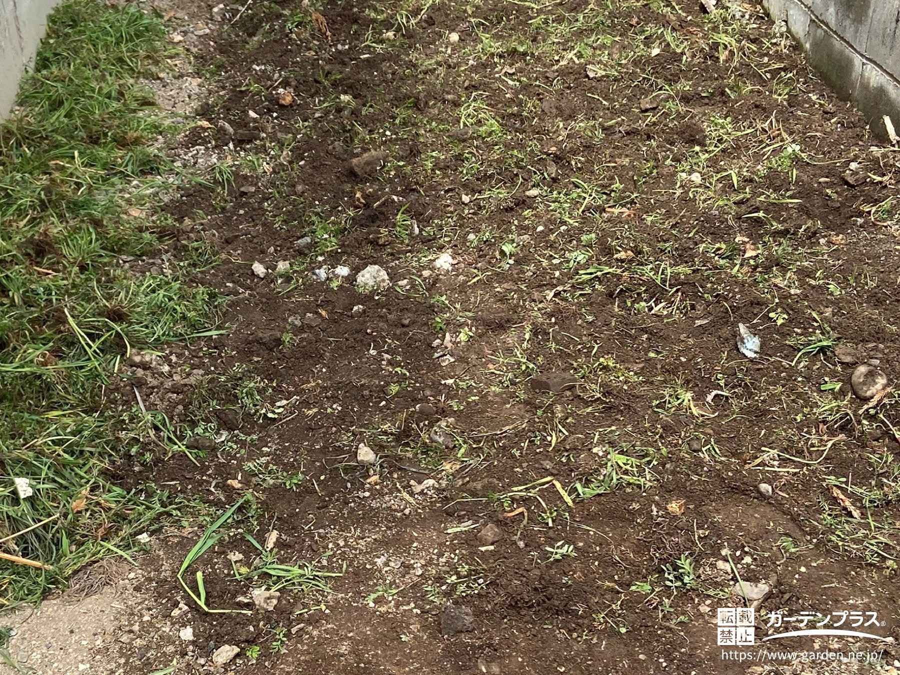 梅雨前にやっておきたい!お庭の雑草対策で人気の方法を5選ご紹介します