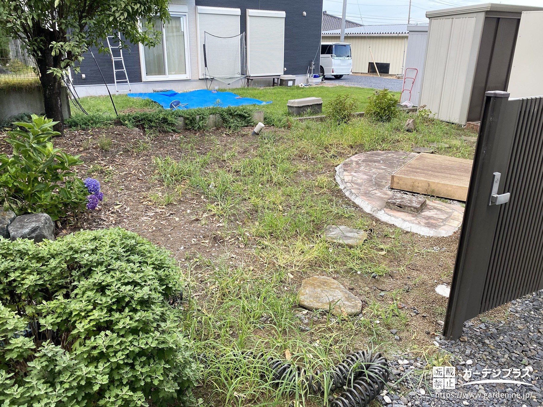 雑草の生えたお庭