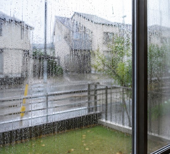 【台風対策！】外構工事でできる備えとは？お住まいを守るためのポイントをご紹介