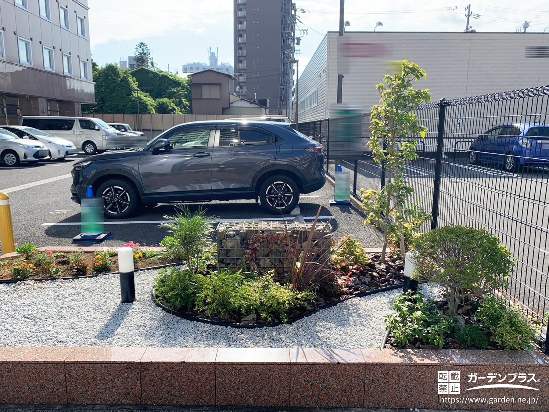 植物の美しさを引き立てるガビオン