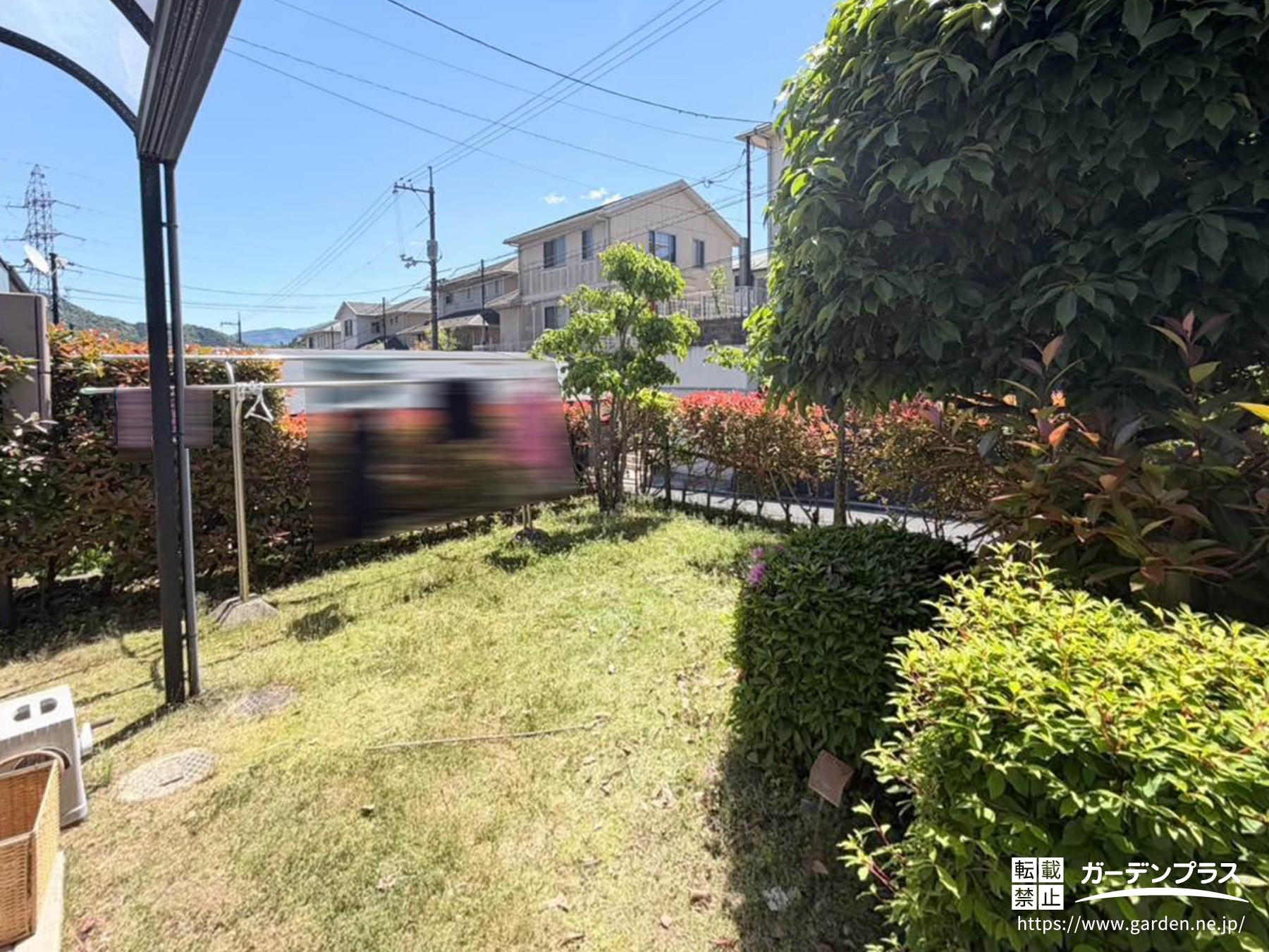 施工前の天然芝のお庭