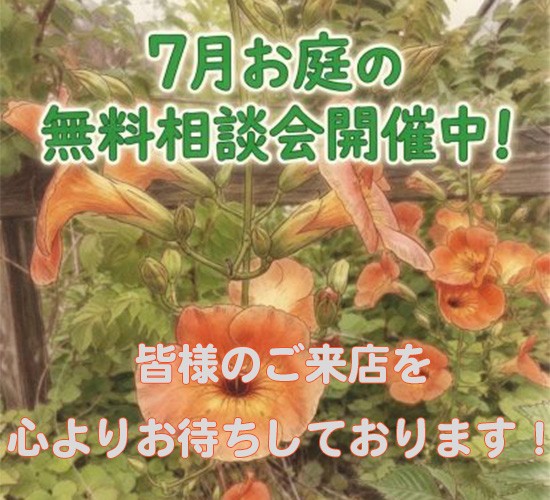 7月お庭の無料相談会のお知らせです!!