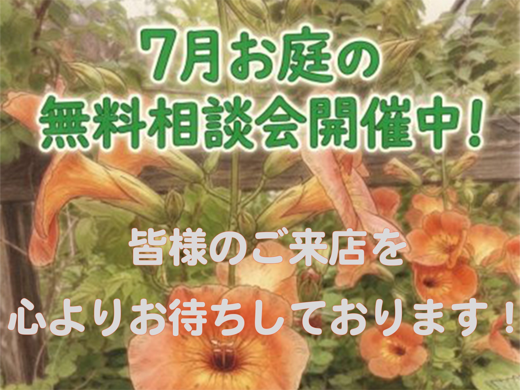 7月お庭の無料相談会のお知らせです!!