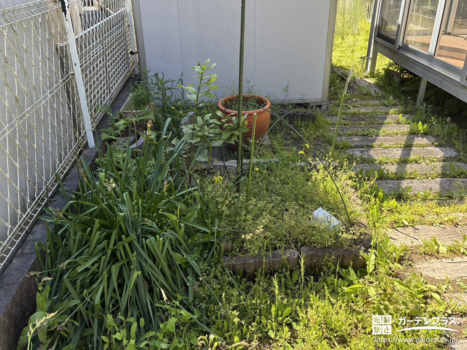 雑草が生えて管理が大変なお庭