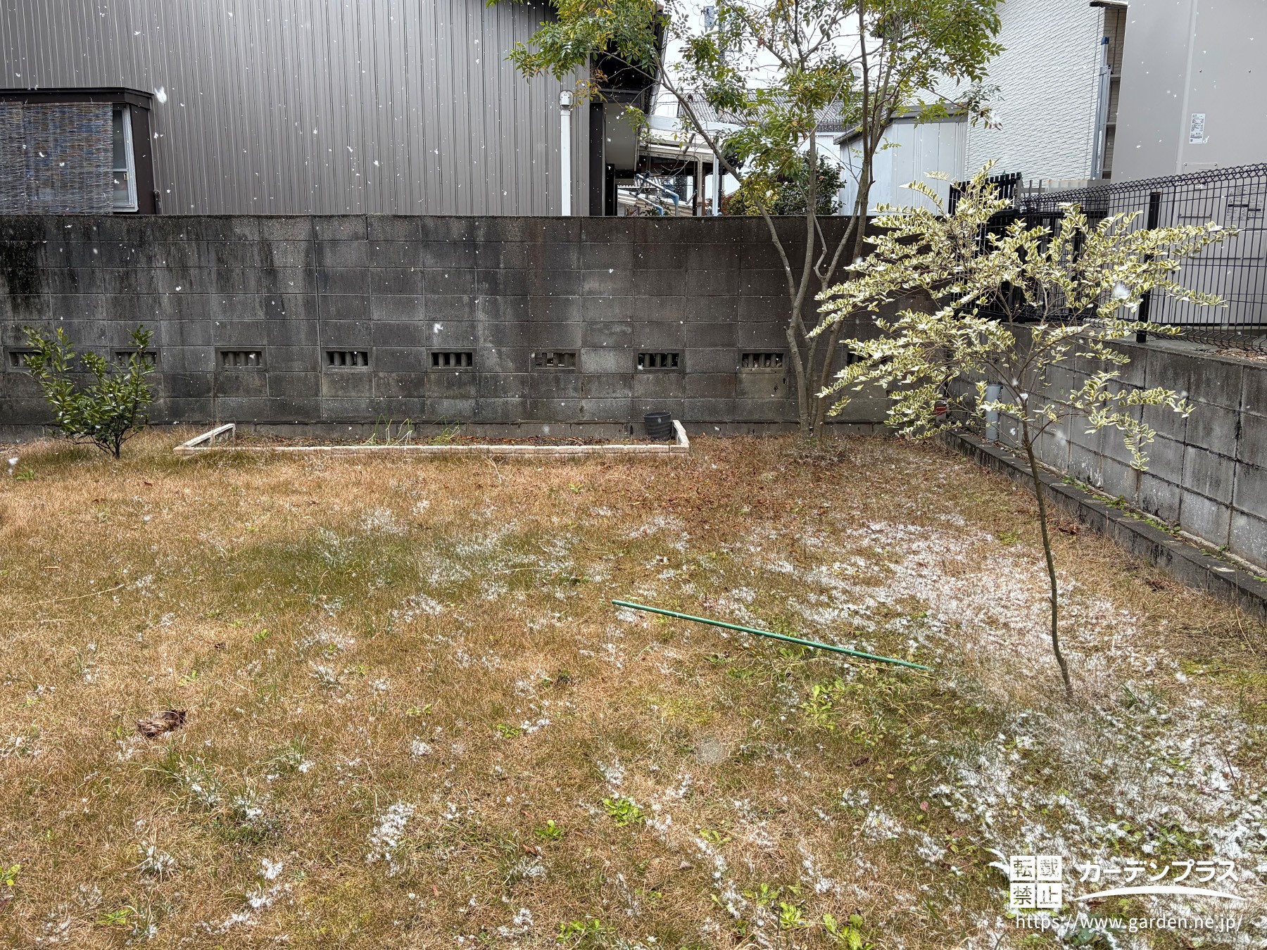 雑草対策の生えた施工前のお庭