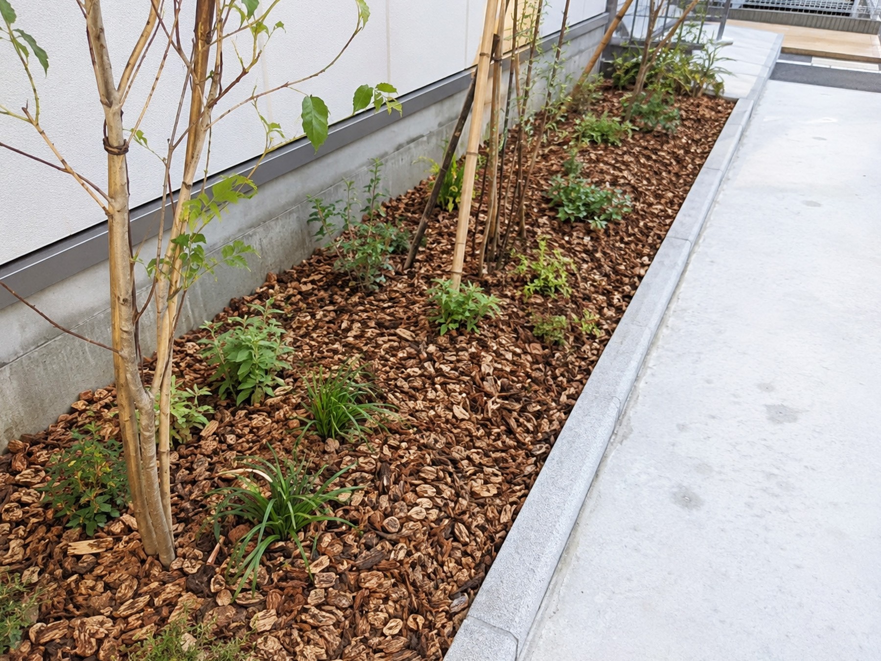 パークチップを入れた植栽スペース