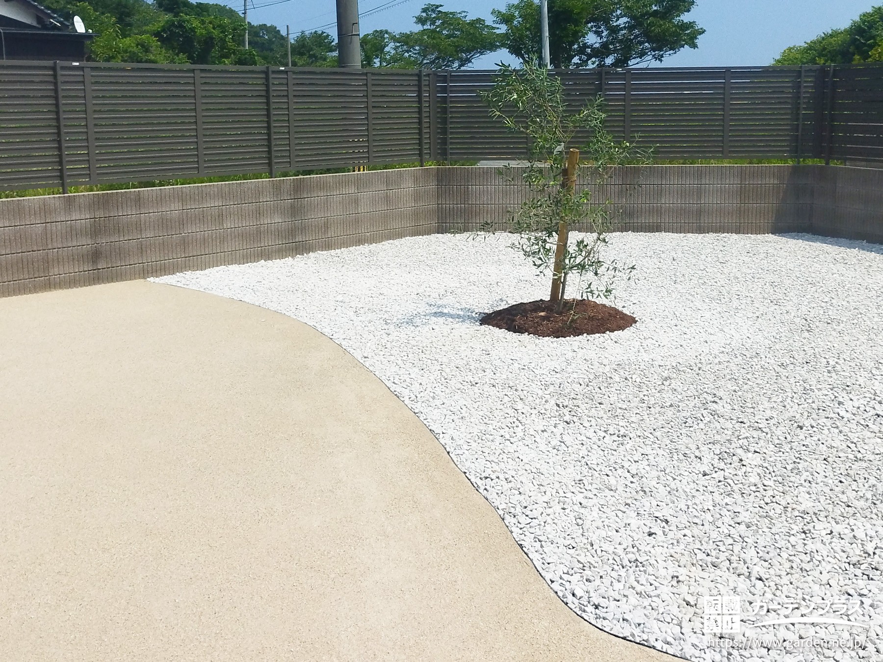 お庭の雰囲気にマッチするオリーブ