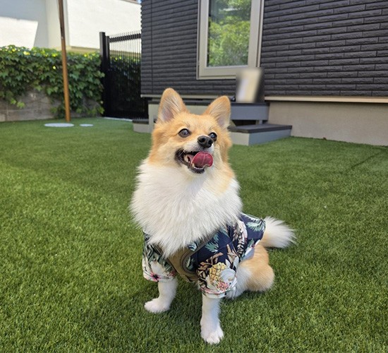 お庭に門扉を設置して安心♪愛犬との暮らしを考えたお庭の施工例をご紹介します