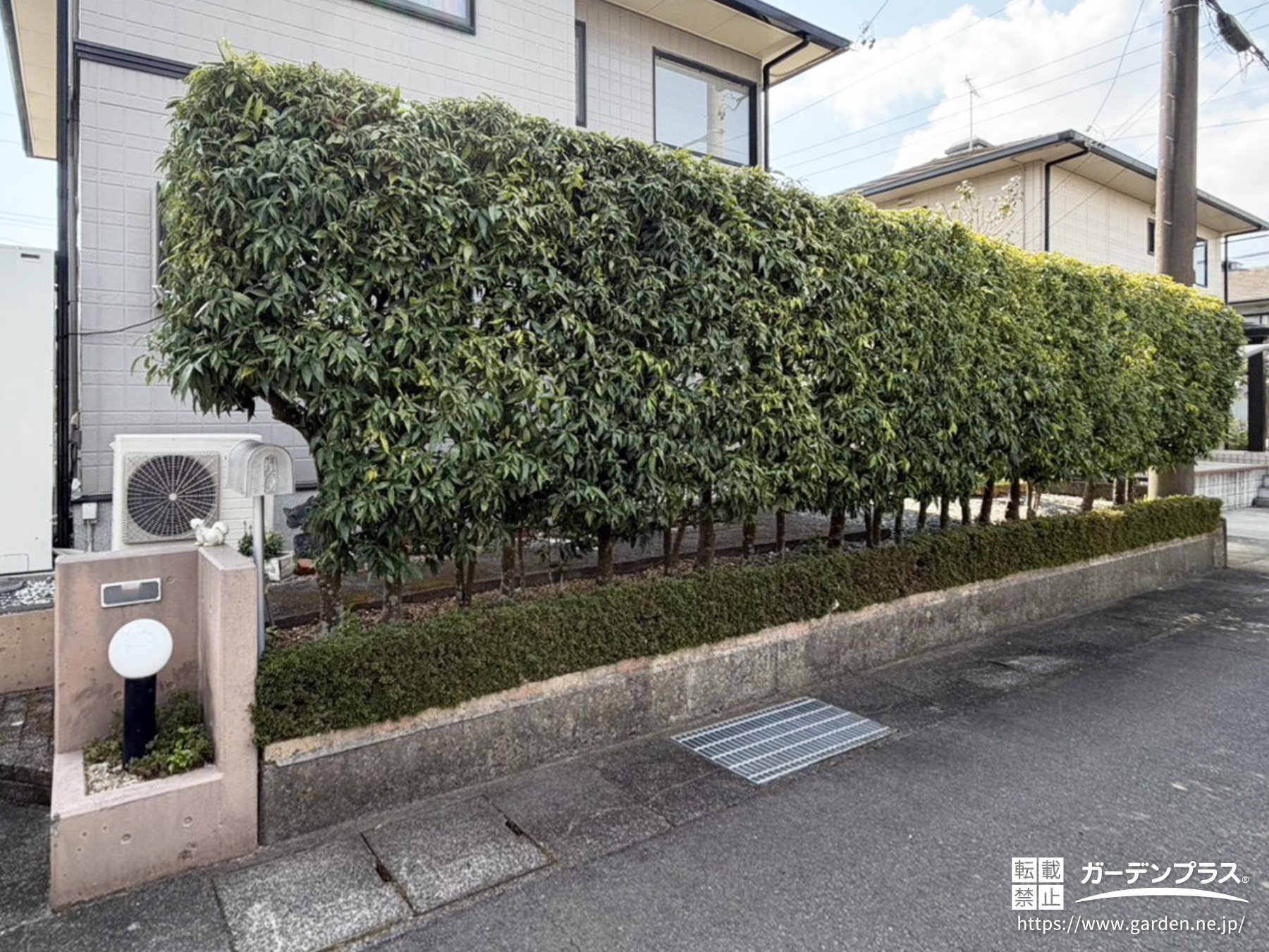 生垣で区切った敷地境界