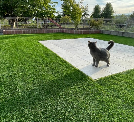 【外構プロが本音で解説】人工芝は後悔する？庭に敷くメリット・デメリットと失敗しないコツ