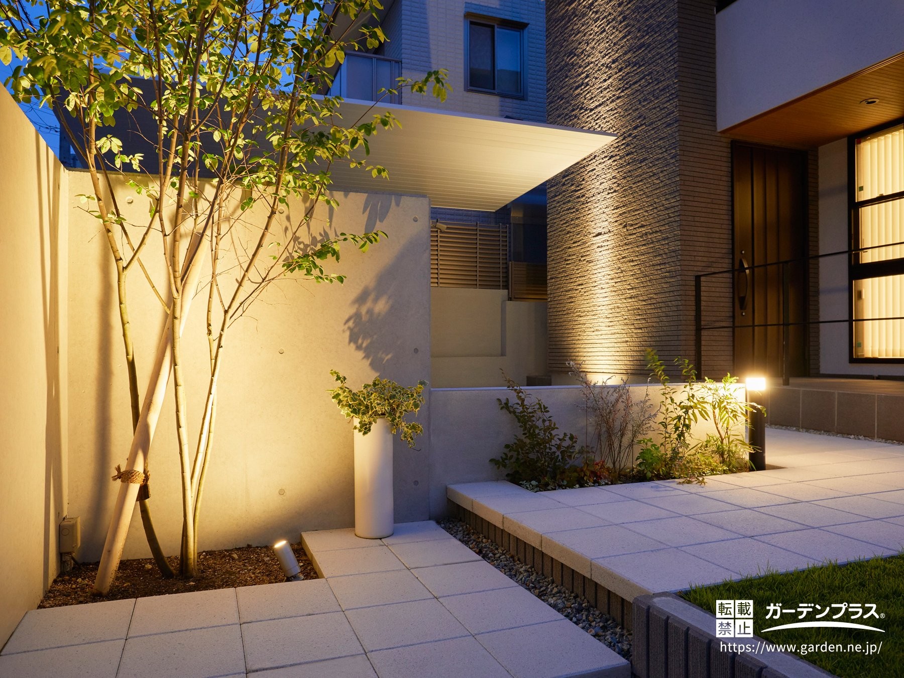 植栽がライトアップされた外構