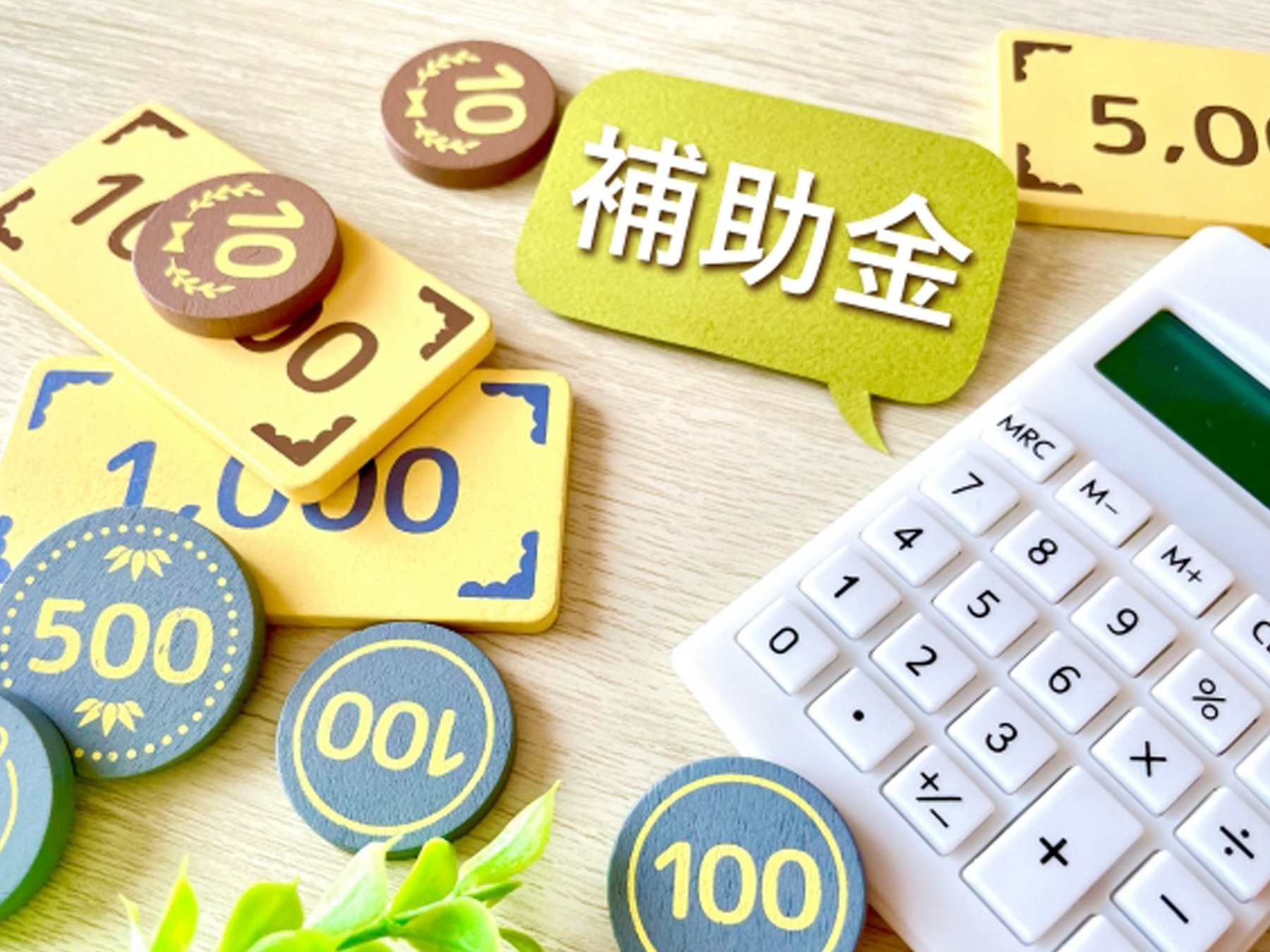 【戸建て用EV充電器】補助金の背景