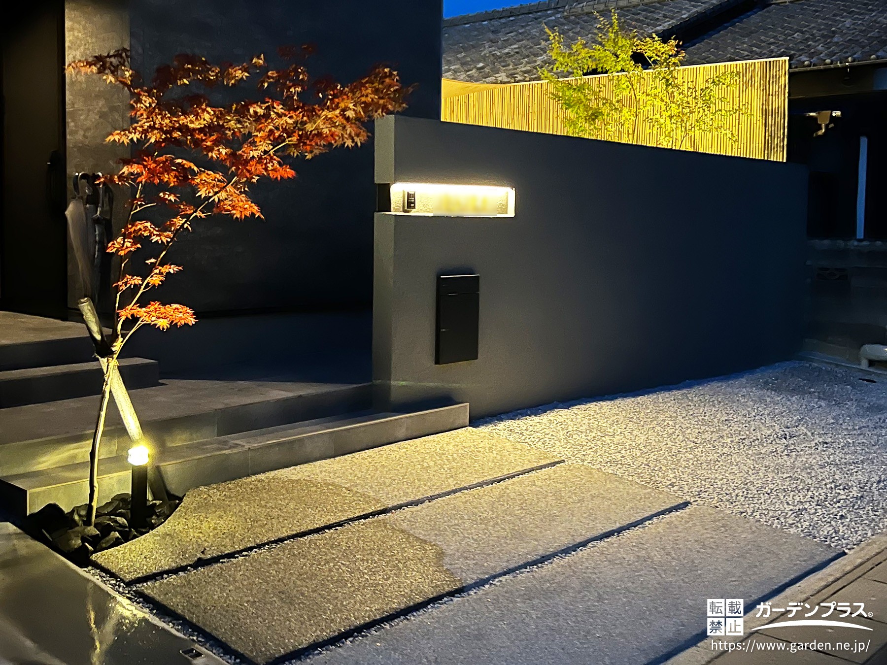ライトアップした植栽