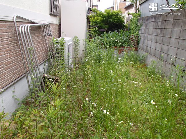 雑草対策とドッグランを兼ねたお庭リフォーム かんたん庭レシピ