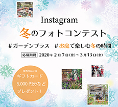 インスタグラムで冬のフォトコンテスト開催中です！