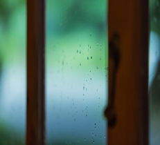 梅雨のお庭を楽しもう！