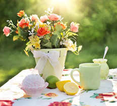 お庭におすすめの夏の花木