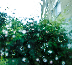 梅雨の長雨でも快適なお庭の舗装と屋根系エクステリア