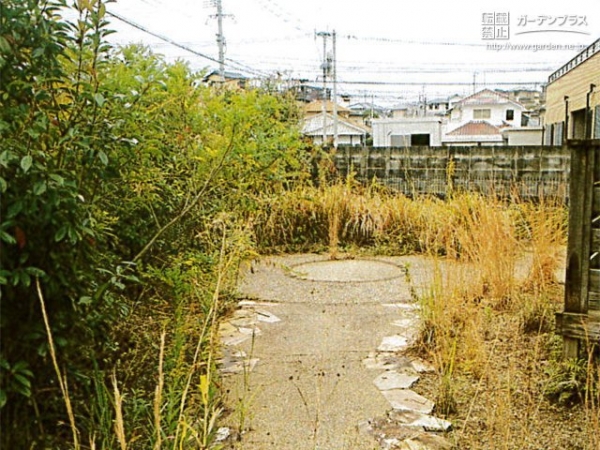 雑草が生えた手つかずのお庭