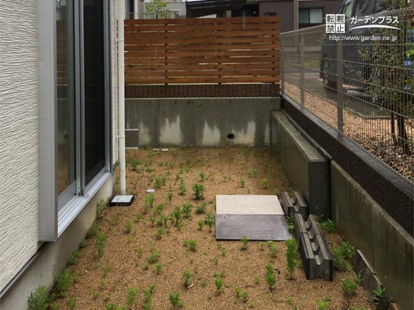 雑草が生えやすい工事前のテラスまわり