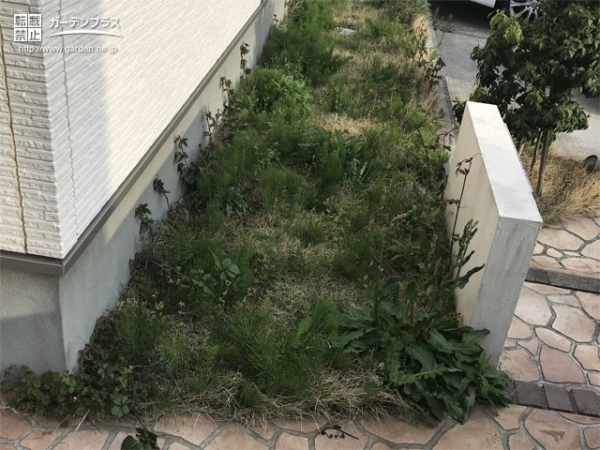 手つかずの状態の犬走り