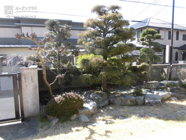 施工前の芝生のお庭