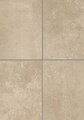 D61