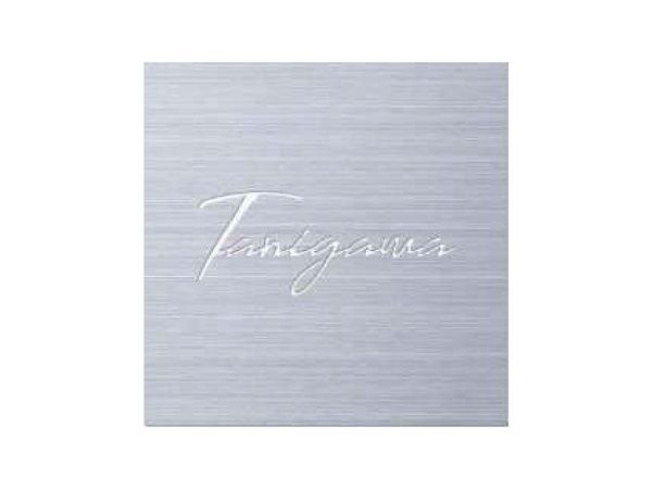 ステンレス抜き文字表札S KYM3・商品イメージ