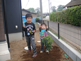 茨城県坂東市キンカンとオリーブの植樹風景