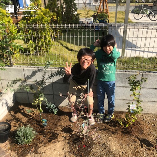 ミモザとブルーベリー植樹後のお写真