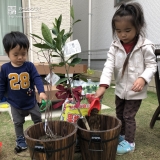 温州ミカンとジューンベリー植樹の様子