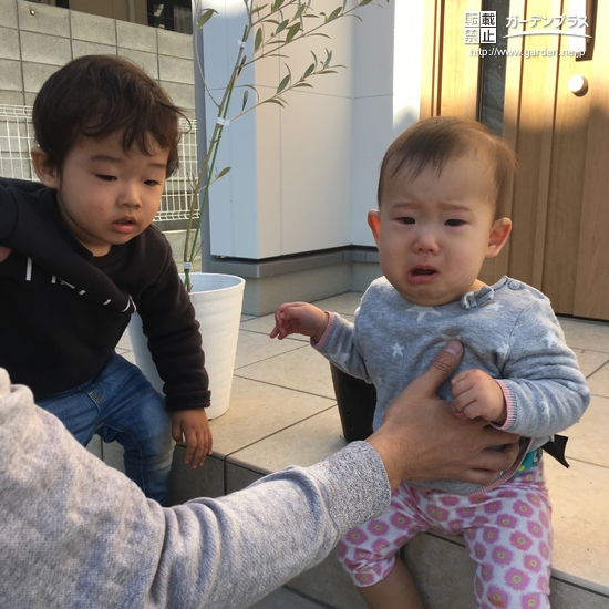 オリーブとお子さまのお写真