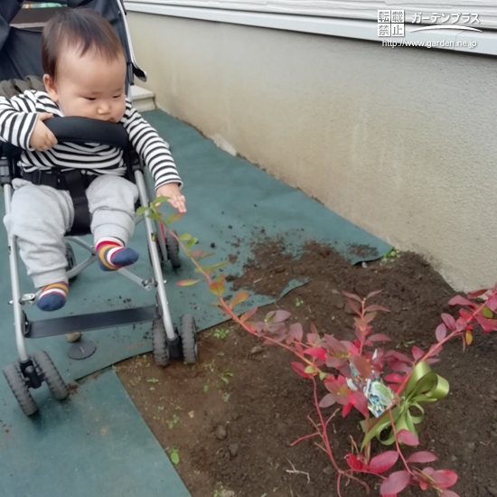 ブルーベリー植樹後の記念写真②