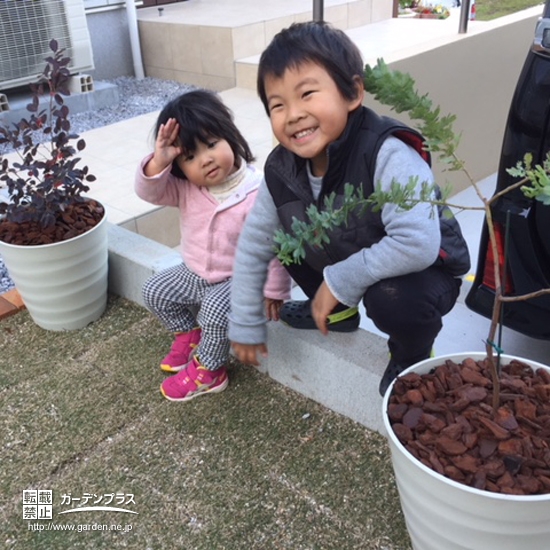 ミモザと紅葉トキワマンサク植樹後の記念写真