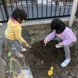 ライラック植樹の様子①