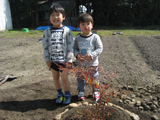 滋賀県東近江市セイヨウニンジンボクとナンテンの植樹風景