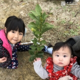 温州ミカン植樹後の記念写真