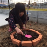 もみじ（カエデ）植樹の様子