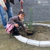 ミモザ植樹の様子