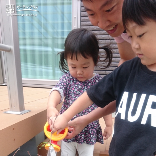 ご家族の植樹の様子