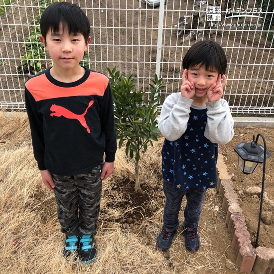 温州ミカンとライラック植樹後のお写真